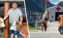 Am vergangenen Dienstag kam es zu dem Tierdrama. Am Tag darauf musste ein Hubschrauber ausücken.
