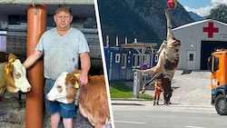 Am vergangenen Dienstag kam es zu dem Tierdrama. Am Tag darauf musste ein Hubschrauber ausücken.