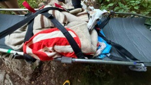 Der rund 20 Kilo schwere „Fritz“ musste mit einer Trage ins Tal gebracht werden