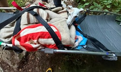 Der rund 20 Kilo schwere „Fritz“ musste mit einer Trage ins Tal gebracht werden