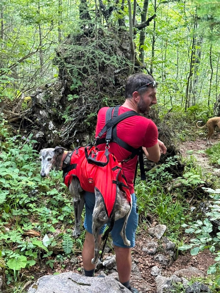 A second dog also had to be carried down into the valley