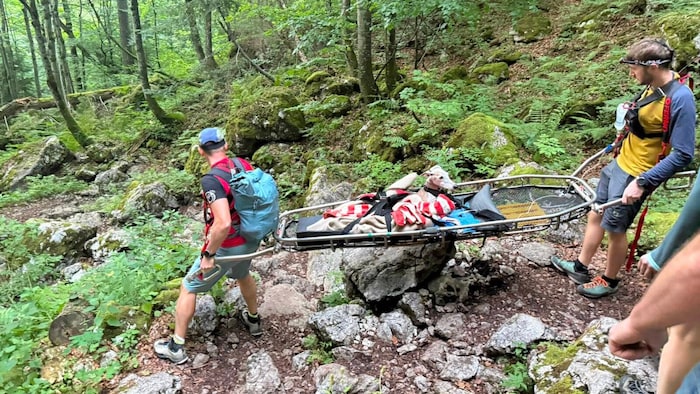 With the help of a mountain stretcher, the dog was brought to safety