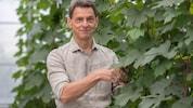 Wolfgang Renner forscht seit 30 Jahren an Piwi-Weinen und leistet von der Steiermark aus ...