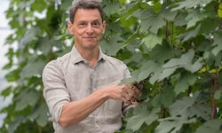 Wolfgang Renner forscht seit 30 Jahren an Piwi-Weinen und leistet von der Steiermark aus ...