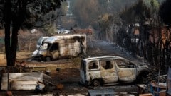Verheerende Waldbrände in vielen Teilen Europas hinterlassen Bilder des Grauens und der ...