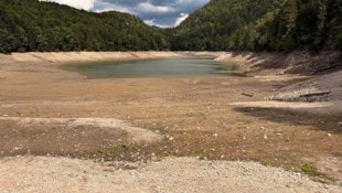 Der Nussensee ist heuer fast völlig ausgetrocknet und gibt nun etliche Geheimnisse preis.