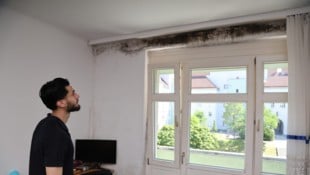 Der Schimmel ist in mehreren Räumen sichtbar.