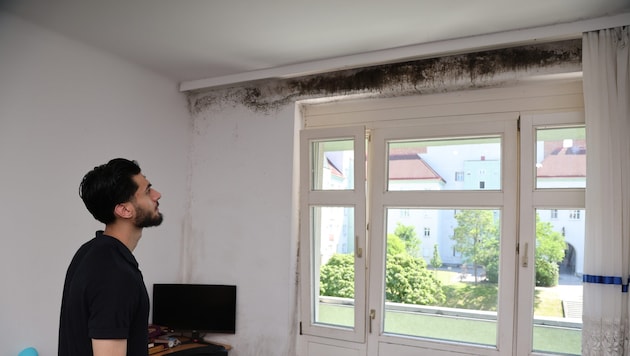 Der Schimmel ist in mehreren Räumen sichtbar.