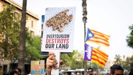 „Massentourismus zerstört unser Land“: Viele Mallorquiner haben Wohnungsnot, Staus, Schmutz und ...