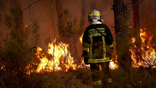 Ein Feuerwehrmann kämpft gegen die heftigen Brände westlich von Bordeaux.