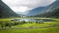 Blick auf den Stappitzer See und den Naturerlebnisweg Seebachtal. 