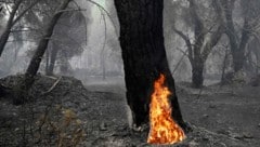 Am Montag hat sich die Lage bei den Waldbränden in Spanien (Bild) und Frankreich etwas ...