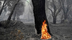 Am Montag hat sich die Lage bei den Waldbränden in Spanien (Bild) und Frankreich etwas ...