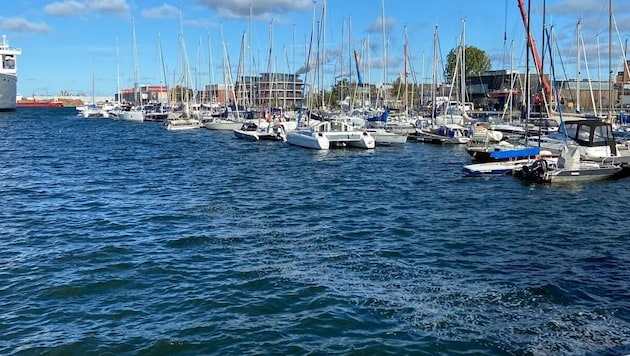 Im Hafen von Wismar (Bild) ist erneut ein Wal aufgetaucht.