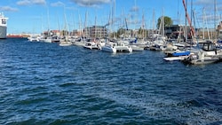 Im Hafen von Wismar (Bild) ist erneut ein Wal aufgetaucht.
