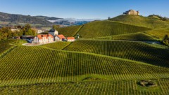 100 Sorten werden am 15.. Oktober auf der Burg angeboten. 