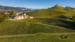 Malerisch, wie die Weingärten in Taggenbrunn angelegt wurden.