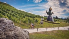 Das Weingut Taggenbrunn zählt zu den landschaftlichen und kulinarischen Höhepunkten.