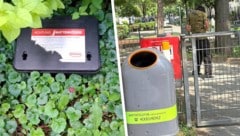 Die Stadt hat bereits Giftköder ausgeteilt. Drogenkranke mit Spritzen trifft man leider auch ...
