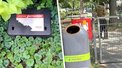 Die Stadt hat bereits Giftköder ausgeteilt. Drogenkranke mit Spritzen trifft man leider auch ...