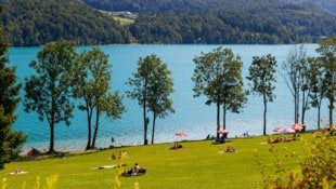 Der Fuschlsee ist bei Tagesgästen ein beliebtes Ausflugsziel. Das bringt die Infrastruktur immer ...
