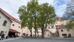 Schlaining und der Geschriebenstein stehen nun ebenfalls auf der Liste jener Ausflugsziele, an ...