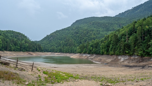 The Nussensee near Bad Ischl currently has a low water level.