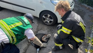 Am Ende konnte das Tier befreit werden.