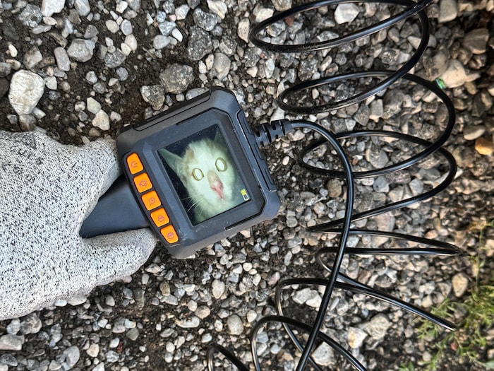 Die Katze wurde mit modernstem Gerät lokalisiert.