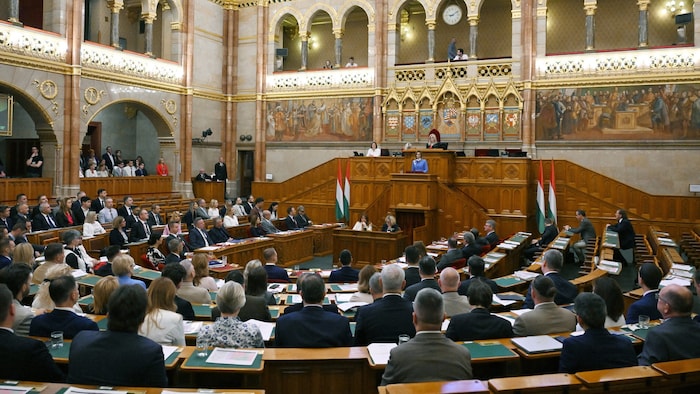 Die neue ungarische Regierung kann auf eine Zweidrittelmehrheit im Parlament zurückgreifen.