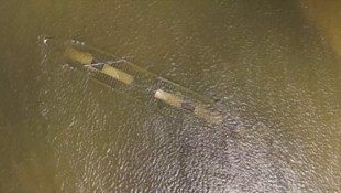 Der Frachter sank 1937, aufgrund des niedrigen Pegels tauchte er jetzt wieder auf.