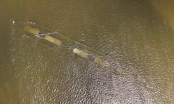 Der Frachter sank 1937, aufgrund des niedrigen Pegels tauchte er jetzt wieder auf.