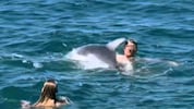 Delfin „Oliver“ drückt einen Schwimmer unter Wasser.