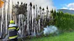 Die Feuerwehr Trieben löschte den Brand.