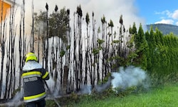 Die Feuerwehr Trieben löschte den Brand.