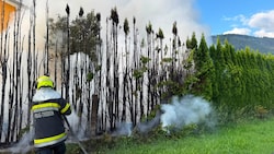 Die Feuerwehr Trieben löschte den Brand.