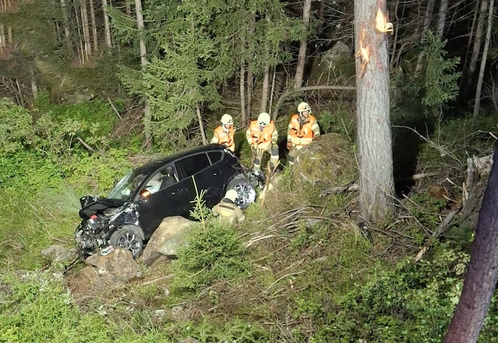 Die Feuerwehr barg das Fahrzeug.