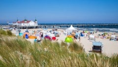 Die Vibrionen-Belastung an der Ostsee scheint in diesem Sommer besonders stark zu sein.