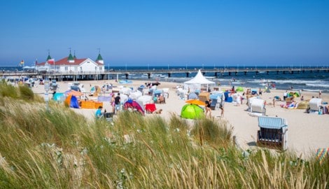 Die Vibrionen-Belastung an der Ostsee scheint in diesem Sommer besonders stark zu sein.