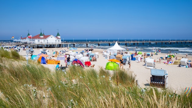 Die Vibrionen-Belastung an der Ostsee scheint in diesem Sommer besonders stark zu sein.