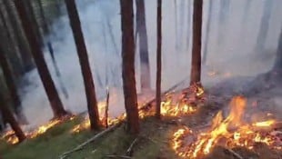 Ein achtlos abgestellter Pkw kann unter ungünstigen Umständen einen Brand auslösen.