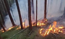 Ein achtlos abgestellter Pkw kann unter ungünstigen Umständen einen Brand auslösen.