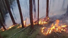 Ein achtlos abgestellter Pkw kann unter ungünstigen Umständen einen Brand auslösen.