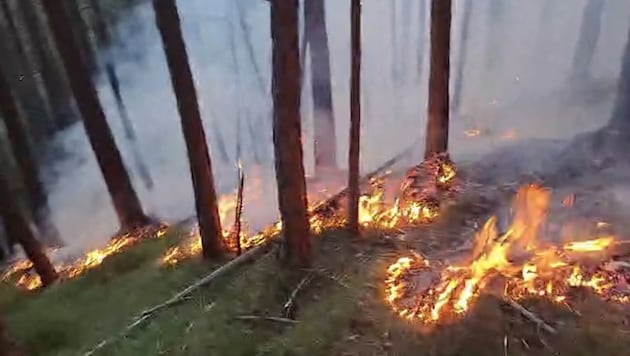 Ein achtlos abgestellter Pkw kann unter ungünstigen Umständen einen Brand auslösen.