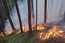 Ein achtlos abgestellter Pkw kann unter ungünstigen Umständen einen Brand auslösen.