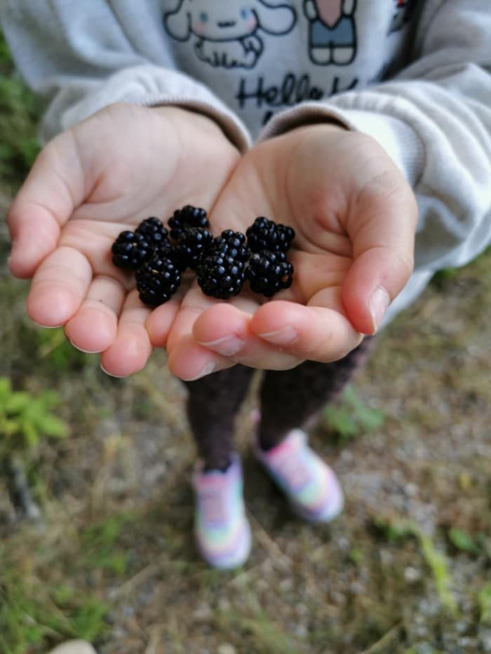Die Natur riechen, fühlen, schmecken, mit allen Sinnen erforschen: Nicht nur Kinder profitieren ...