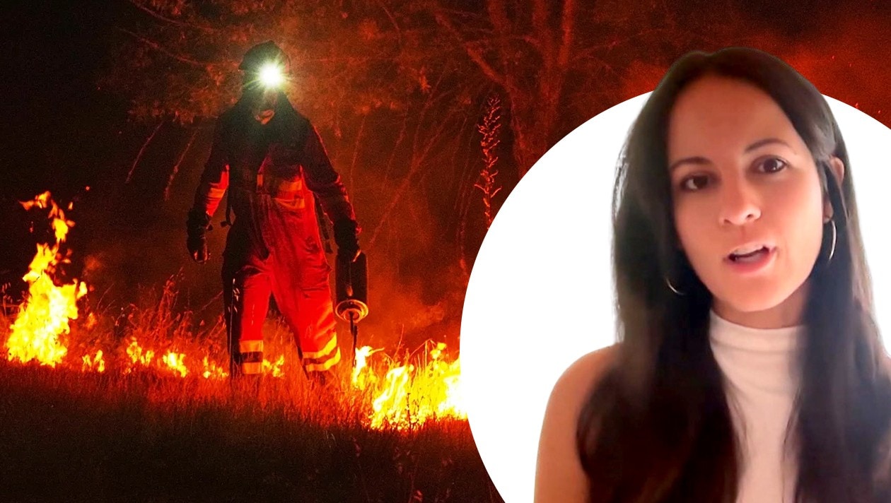 Feuerhölle in spanien - „diese bilder bekommt man nicht mehr aus dem kopf“ 2026 - justiz Feuerhölle in spanien - „diese bilder bekommt man nicht mehr aus dem kopf“ 2026 full die verheerenden waldbrände in spanien sind selbst in madrid deutlich zu spüren. Rauch liegt über der hauptstadt,... Iustitia. Bg feuerhölle in spanien - „diese bilder bekommt man nicht mehr aus dem kopf“ 2026 2026-07-30 04:17:59 justiz