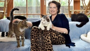Auf Gut Aiderbichl ist Monika Martin zwischen Katzen ganz in ihrem Element.