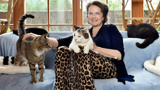 Auf Gut Aiderbichl ist Monika Martin zwischen Katzen ganz in ihrem Element.