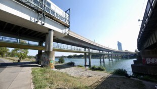 Der 41-Jährige ist vom Georg-Danzer-Steg ins Wasser gesprungen. 
